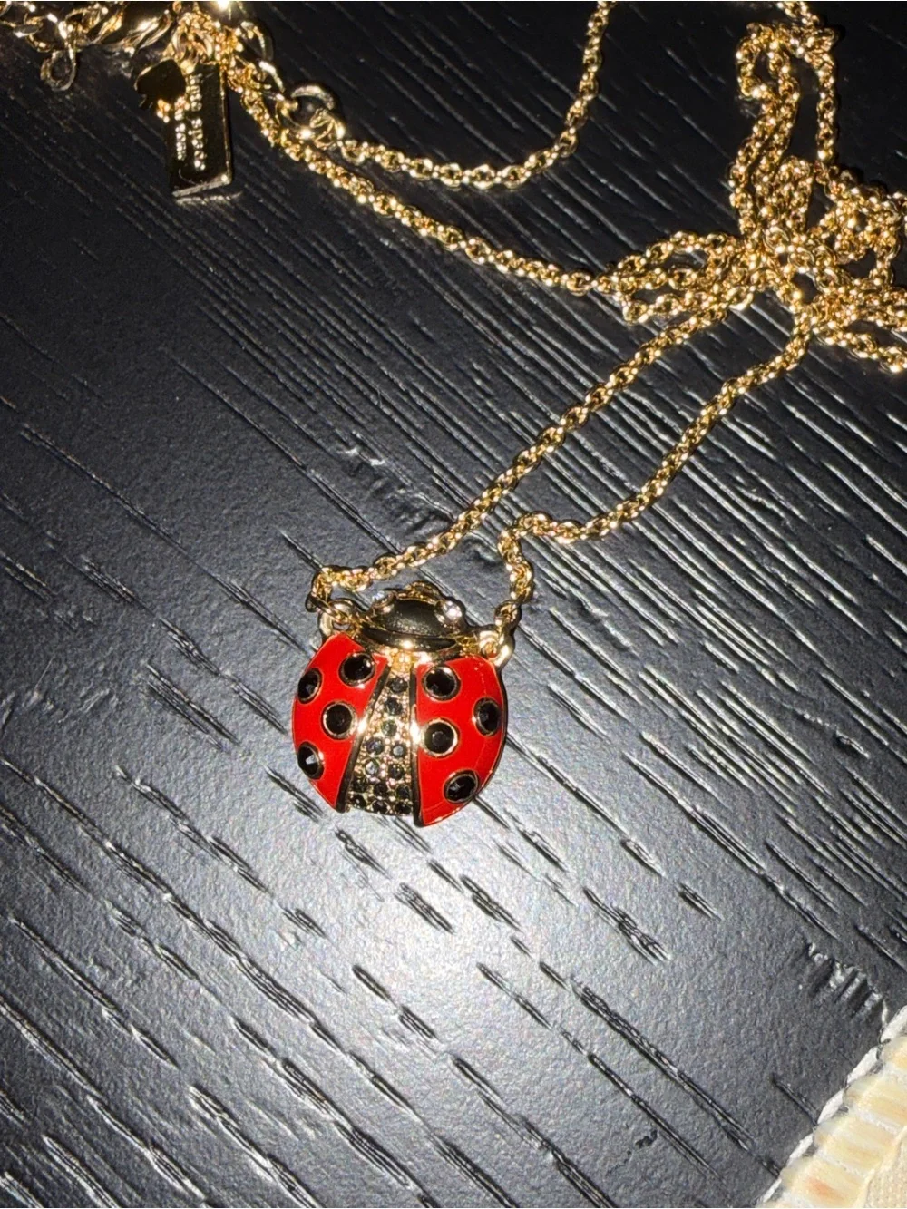 Kate Spade New York Ladybug Pendant Necklace Gold Friendly Insects Adjustable